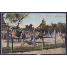 ZOOLOGICO PALERMO ANTIGUA TARJETA POSTAL